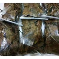 Gambar Daun ketapang kering untuk ikan cupang dari shops biya undefined 4 Tokopedia