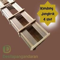 Gambar kandang jangkrik aduan bambu 4 slot / jangkrik kalung - genggong - adu dari HARTATI Online Store_NEW undefined 4 Tokopedia