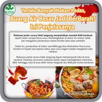 Gambar Salep Salwa HERBAL Obat Wasir/Ambeien Benjolan Di Anus Sakit Perih` dari Sehat Senthosa undefined 5 Tokopedia