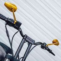 Gambar Terlaris Arlen Ness Mini Stocker Mirror - Gold Murah dari hasin shoop undefined 1 Tokopedia