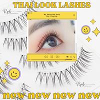 Gambar NEW NEW THAI MAKEUP LOOK LASHES - Japanese Pointed Tail False dari Neria Tammy undefined 1 Tokopedia