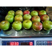Gambar Apel malang rome beauty 1kg isi 15-17buah dari CV Makuna undefined 1 Tokopedia