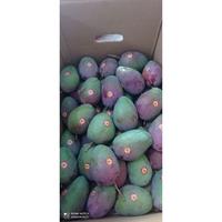 Gambar Mangga Garifta Segar Fresh Pasuruan Jawa Timur Per Kg dari CV Makuna undefined 4 Tokopedia