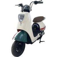 Gambar SEPEDA LISTRIK E-BIKE SAIGE LOVA SPEED 45KM/POWER 600W - GREEN dari warung teras05 undefined 4 Tokopedia