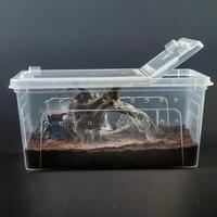 Gambar Tempat Reptil Tarantula Gecko Jangkrik merk Nomoypet - Hitam, S 19 Cm dari uvbpetshop undefined 2 Tokopedia