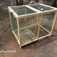 Gambar kandang ayam kampung - bangkok - hias untuk indukan dari DAYA ANAGATA NUSANTARA undefined 1 Tokopedia