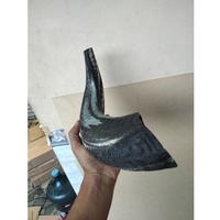 Gambar Tanduk domba Garut asli KERAJINAN SHOFAR shofar easy blow good dari lenilika, store undefined 2 Tokopedia