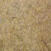 Gambar [TERBARU] Brown's Natural Behaviors Hemp Bio Mat - Bedding Mamalia dari MestiMurahStoree undefined 3 Tokopedia