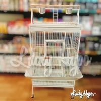 Gambar [TERBARU] A19 Dayang Bird cage Kandang Besi Burung Parrot Kakatua dari MestiMurahStoree undefined 3 Tokopedia