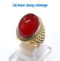 Gambar CINCIN NATURAL CEMPAKA MERAH ACEH. RING TITANIUM GOLDEN GA AKAN Murah dari Ainastore68 undefined 4 Tokopedia
