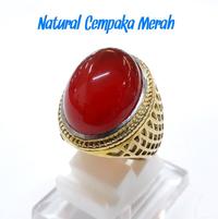 Gambar CINCIN NATURAL CEMPAKA MERAH ACEH. RING TITANIUM GOLDEN GA AKAN Murah dari Ainastore68 undefined 1 Tokopedia