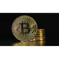 Gambar New Bitcoin Plated Fisik Pajangan Koleksi Souvenir Gift Btc dari Keranjang Sayaaa undefined 4 Tokopedia