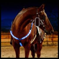 Gambar Tali Kekang Lampu LED Aksesoris Accessories Body Kuda Horse Equestrian - PINK dari rido0123 undefined 4 Tokopedia
