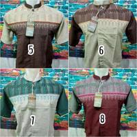 Gambar Baju Koko Dewasa Bahan TRIJI Lengan Pendek Motif Terbaru Harga Grosir dari Charlos123 undefined 2 Tokopedia