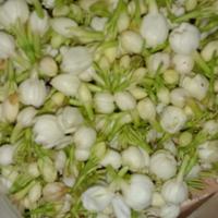 Gambar kembang 7 rupa / paket kembang untuk mandi dari ceransa undefined 2 Tokopedia