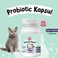 Gambar Vitamin Kucing Probiotic Kapsul | Harga 1 Kapsul | Dr Meow | Leryspets dari Leryspets Offcial undefined 1 Tokopedia