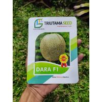 Gambar Benih Melon Dara F1 dari Poro Yoro undefined 1 Tokopedia