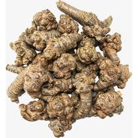 Gambar Tian Qi NotoGinseng Utuh Premium 37gr - Tian Chi San Qi San Chi dari raka ravenda_otomotif undefined 1 Tokopedia