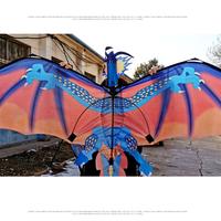 Gambar Mary Layangan Naga Warna-Warni Dinosaurus Wind Kite Dengan Ekor dari Adellia Putrie undefined 5 Tokopedia