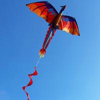 Gambar Mary Layangan Naga Warna-Warni Dinosaurus Wind Kite Dengan Ekor dari Adellia Putrie undefined 4 Tokopedia