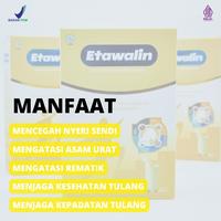 Gambar PAKET 2 BOX ETAWALIN PERPADUAN SUSU KAMBING ETAWA DAN REMPAH OBATI dari alsheiraz books undefined 2 Tokopedia