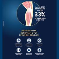 Gambar Susu Bubuk Dewasa Ensure Coklat Cokelat 900 gr 900g Rendah Laktosa dari mahijaa books undefined 3 Tokopedia