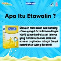 Gambar Susu Etawalin Original Ori 2 Box - Susu Etawa Bubuk Atasi Nyeri Diskon dari alsheiraz books undefined 2 Tokopedia