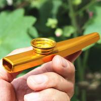 Gambar 1PC Metal Musical Instruments Flutes Diaphragm Mouth Musical dari MPM MARKET ID undefined 3 Tokopedia