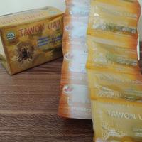 Gambar PromoHOT SALE TAWON LIAR ORIGINAL KUNING ASAM URAT Diskon dari atatalita undefined 3 Tokopedia
