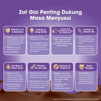 Gambar Anmum Lacta Susu Bubuk Cokelat 200G - Susu Ibu Menyusui dari elastore1 undefined 3 Tokopedia