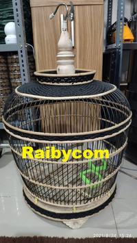Gambar KANDANG BURUNG PUTER PELUNG PERKUTUT TEKUKUR DERKUKU KELANTAN SANGKAR dari Endah toko. undefined 1 Tokopedia