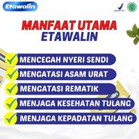 Gambar 2 Box ETAWALIN – Susu Kambing Etawa Tingkatkan Kepadatan Kesehatan dari aileennathania_olshop undefined 2 Tokopedia