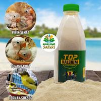 Gambar Top Kalsium Asinan Tulang Sotong Super Pakan Makanan Burung Gecko Kura dari Petshop Makassar Safari undefined 1 Tokopedia