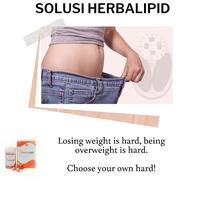 Gambar Herbalipid Pelangsing Herbal Busui Dijamin Aman Untuk Ibu Menyusui dari cahya_online undefined 4 Tokopedia