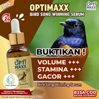 Gambar Beli Ini Burung Auto Gacor || Optimaxx Multivitamin Penggacor Burung dari Yunitashop5 undefined 1 Tokopedia
