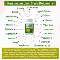 Gambar KELOREENA VITAMIN NUTRISI Lengkap Ibu Hamil Janin Trimester 1 2 3 dari velix hans undefined 2 Tokopedia