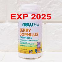Gambar Now Foods Berry Dophilus Kids 2 Billion 10 Probiotic 60 Tablet Kunyah dari jordy bensil undefined 1 Tokopedia