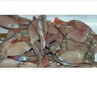 Gambar [Dijual] Daging Kodok Segar Frog Meat Size Besar dari kirana56 undefined 2 Tokopedia