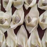 Gambar pangsit siap saji isi 10 Vegetarian Vegan dari JJVEGE undefined 1 Tokopedia