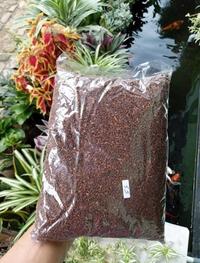 Gambar Cengkeh Zanzibar Rajang 1 kg JK2900 dari barbarashita undefined 1 Tokopedia
