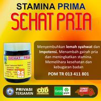 Gambar SEHAT PRIA jamu ramuan obat kuat pria dewasa tahan lama lemah syahwat dari Morowekku undefined 2 Tokopedia