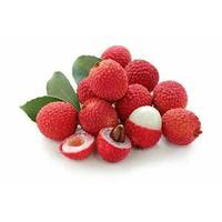 Gambar Bibit Tanaman Buah Lychee 60 cm dari Dinda Tiara Duwi Lestari undefined 3 Tokopedia