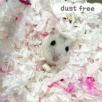 Gambar Luxber Pet Tissue Bedding Hamster Rabbit Alas Kandang Hamster-Mix Pink dari ziaztore undefined 2 Tokopedia
