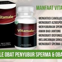 Gambar obat pria obat vitamel-isi 30 Capsule QW1681 dari arvashisarika undefined 3 Tokopedia