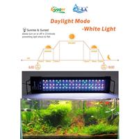 Gambar Hygger Planted Aquarium Lighting 24H Cycle / Lampu Aquarium - 60W dari hyggerindonesia undefined 2 Tokopedia