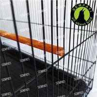 Gambar Tangkringan Kayu Jati Ulir 60 65 Cm Panjang Tangkringan Sangkar dari mandlaera undefined 5 Tokopedia