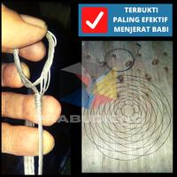 Gambar Promo Perangkap babi Jerat babi Lapun babi Bronjong 10pcs Berkualitas dari ghisyauy shop undefined 4 Tokopedia