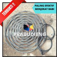 Gambar Promo Perangkap babi Jerat babi Lapun babi Bronjong 10pcs Berkualitas dari ghisyauy shop undefined 1 Tokopedia