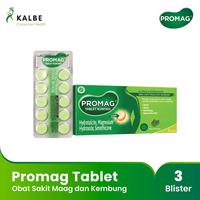 Gambar PROMO Promag Tablet Box dari Serang Permai Store undefined 1 Tokopedia