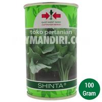 Gambar BENIH SAWI SHINTA - 100 GRAM dari SEED-u undefined 1 Tokopedia